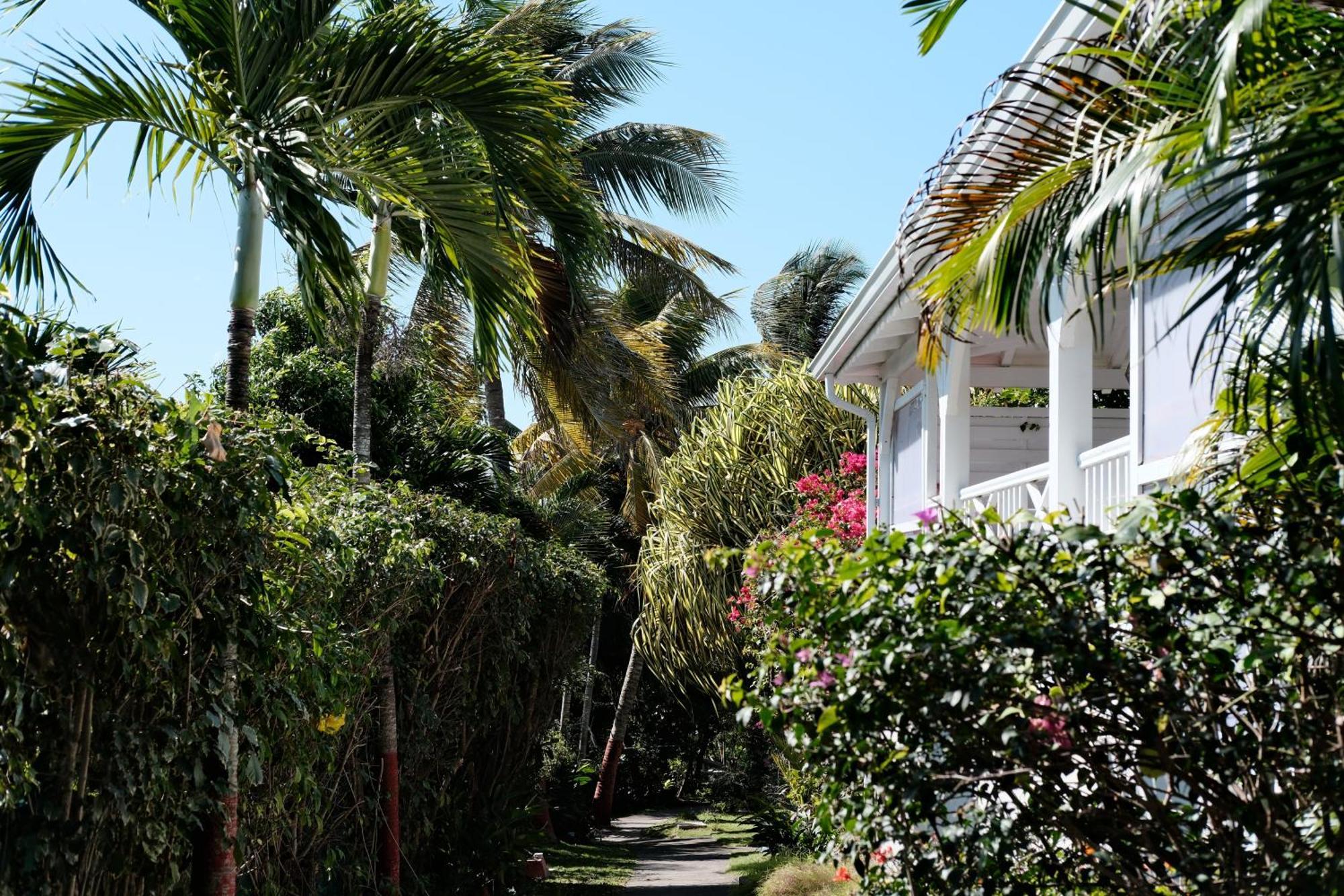 Nid Kreyol Villa Sainte-Anne  Ngoại thất bức ảnh